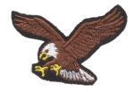 Eagles Patch Iron On Show Your Team’s Soaring Spirit | stitchpatches.com