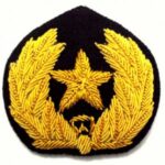 Military Badges Distinguished Authorized Insignia | stitchpatches.com