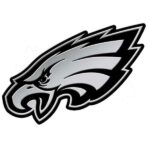 NFL Eagles Logo Philadelphia 3D Chrome Auto Emblem RICO | stitchpatches.com