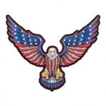 Star Spangle Banner American Flag Eagle Patch, Eagle Patches