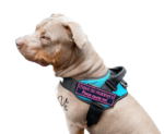 Velcro Patches For Dog Harness | stitchpatches.com