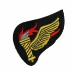 Vietnam Special Forces Patches | stitchpatches.com